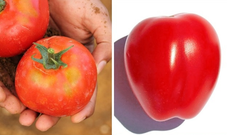 Aprende a diferenciar los alimentos naturales de los transgnicos