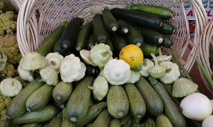 Beneficios de incluir el calabacn en tu dieta