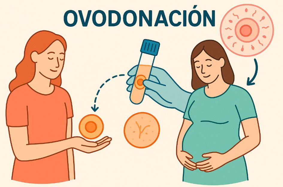 Tu mejor regalo de Ao Nuevo: ser madre por ovodonacin