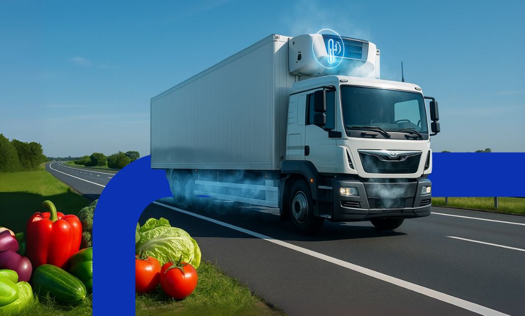 Ecommerce de alimentos impulsa innovacin en transporte y almacenamiento en fro