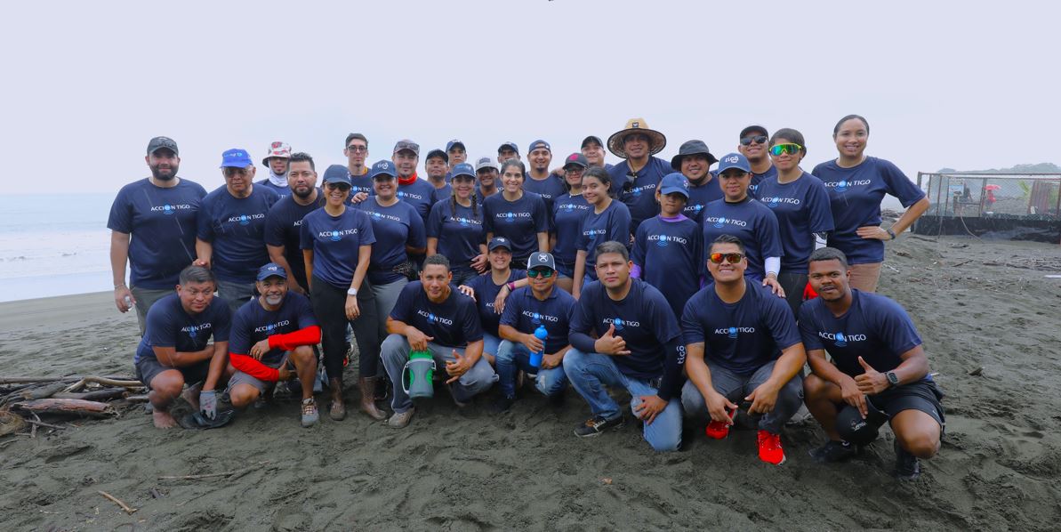 Tigo Panam celebra el Mes de los Ocanos con la Liberacin de  86 Tortugas en Playa Malena