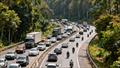 Tecnolog�a GPS podr�a reducir hasta un 30% el impacto ambiental del transporte en Panam�