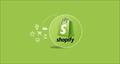 Shopify en panameo: Gua sencilla para comprender esta plataforma de ecommerce