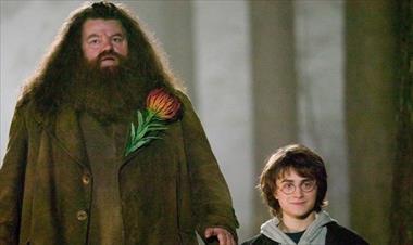 /cine/actor-que-interpreto-a-hagrid-en-harry-potter-reaparece-en-silla-de-ruedas/86684.html