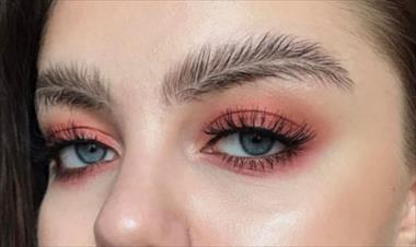 /spotfashion/de-las-cejas-finitas-a-las-cejas-con-forma-de-pluma/49296.html