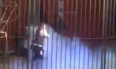 /vidasocial/domador-de-leones-es-atacado-en-plena-funcion-en-francia/50865.html