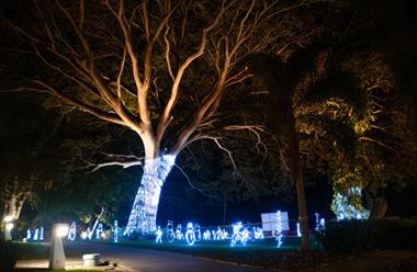 /vidasocial/celebra-navidad-y-ano-nuevo-con-todo-incluido-en-grand-decameron-panama-a-trademark-all-inclusive-donde-la-magia-se-encuentra-con-el-mar-/106365.html