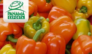 /vidasocial/panama-fortalece-al-sector-exportador-con-panama-exporta-/63792.html