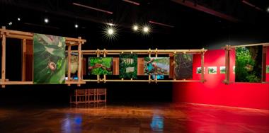 /vidasocial/el-museo-del-canal-de-panama-inaugura-exposicion-temporal-el-jardin-de-mr-brown-de-tova-katzman/106706.html