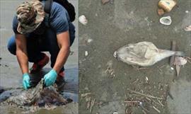 L�deres de la pesca y acuicultura de Am�rica Latina se dan cita en Panam� para definir agenda regional