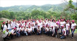 Consultndole a Minera Panam sobre Programa de Reforestacin