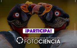 Gonzalo Horna, estar en el Festival Internacional de la Cancin