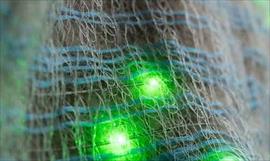 Conductor de UPS salva a familia de un incendio