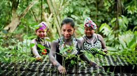 Declaran persona non grata al diplom�tico paname�o acusado de violaci�n