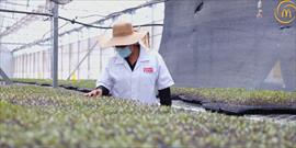 Arcos Dorados avanza en sus compromisos ambientales con una emisin de deuda vinculada a la sostenibilidad