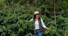 Nestle presenta Kit Kat como no lo esperabas: En Cocoa y formato Spread