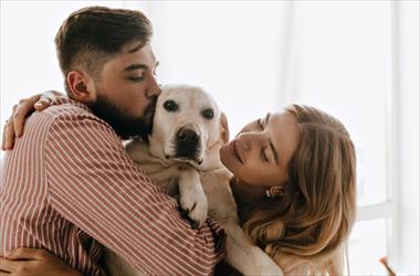 �Tu perro se rasca con frecuencia? Expertos explican cu�ndo podr�a ser una se�al de alerta