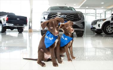 Ford y el Club Amigos de los 4 Patas promueven la adopci�n de mascotas y su transportaci�n segura