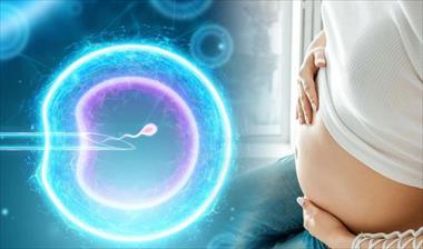 Es posible quedar embarazada por inseminacin artificial sin pareja?